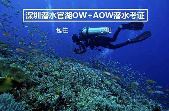 沪江开心词场